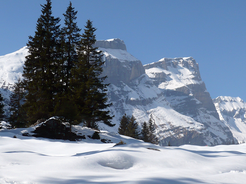 Berge im Winter